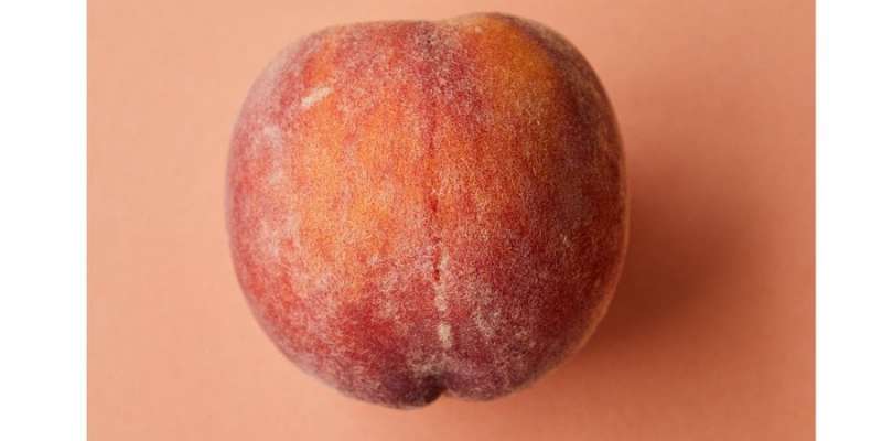 Продумана деталь. Біологи розповіли, чому персики вкриті м&rsquo;яким пушком