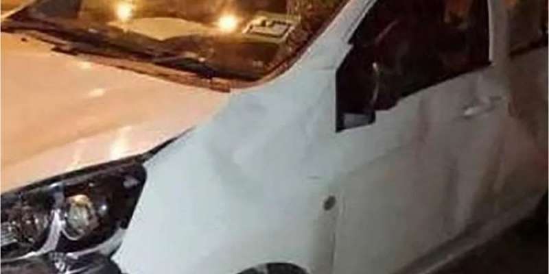 Рішуча помста. Стадо диких слонів у Малайзії розтоптало авто, яке врізалося в слоненя